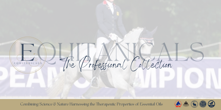 Botanicals by Perfect Ponies 